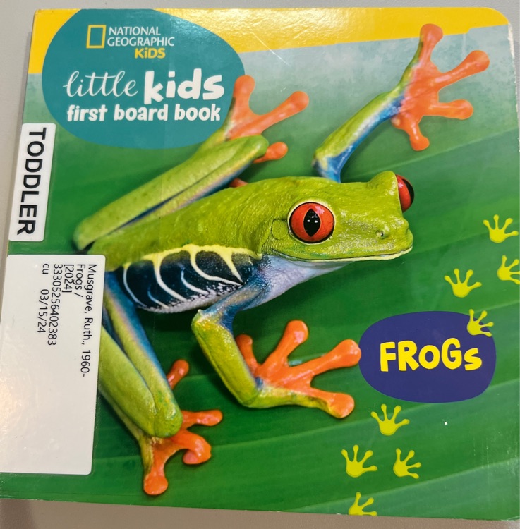 Little kids first board book frogs