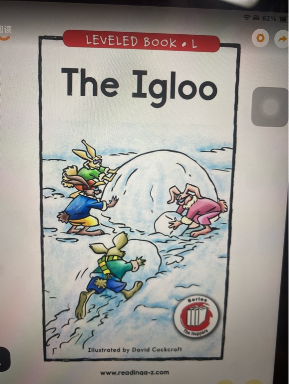 the lgloo