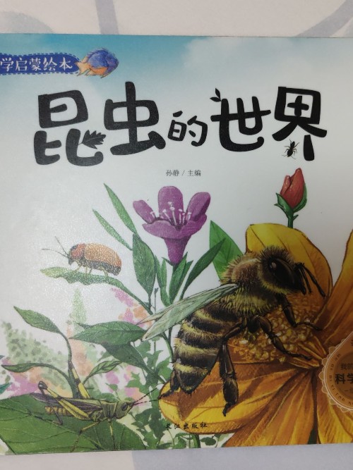 科学启蒙绘本昆虫的世界
