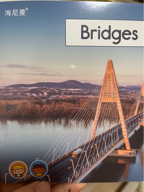 海尼曼bridges