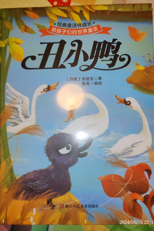 丑小鴨