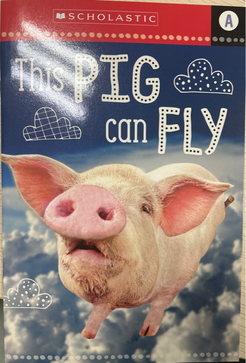 This pig can fly.