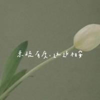 抄抄寫寫