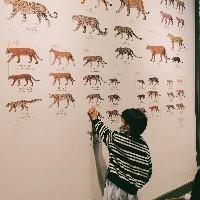 Tippi