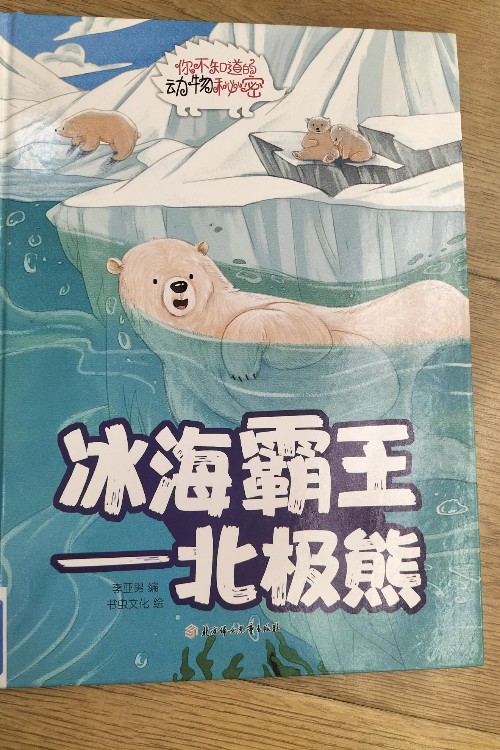 冰海霸王—北極熊