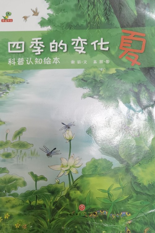 四季的變化: 夏