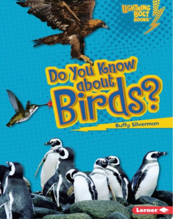 Do you know about birds?