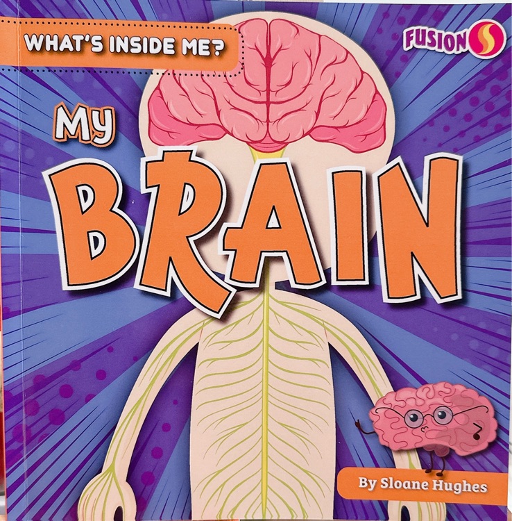 My Brain (what's inside me?)