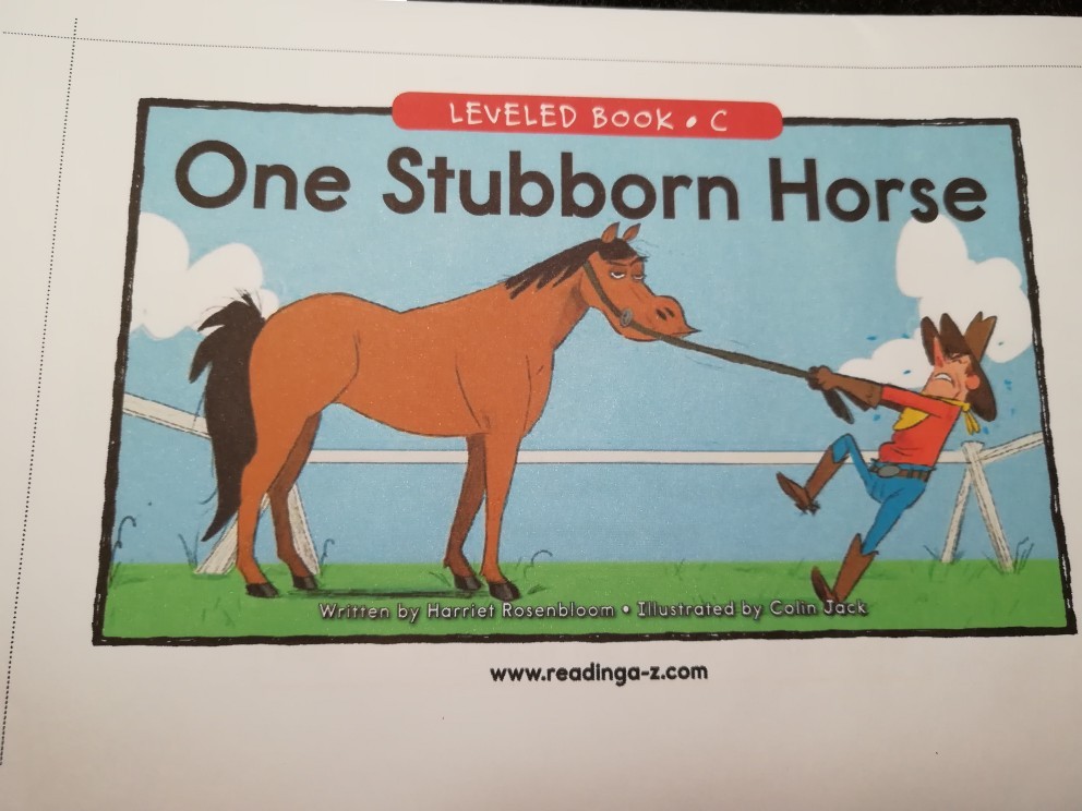 One stubborn horse