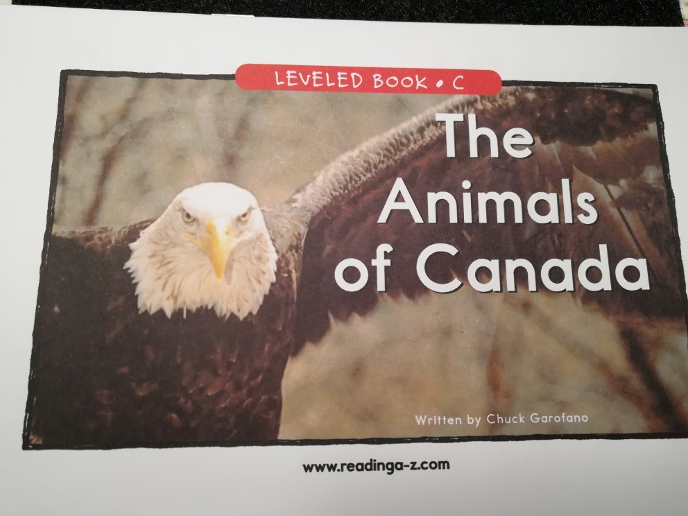 The animals of Canada