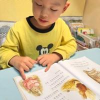 漢堡babylove