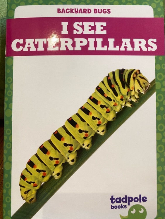 I can see caterpillars (tadpole books)