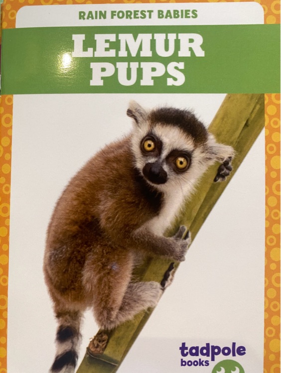 Lemur pups (tadpole books)