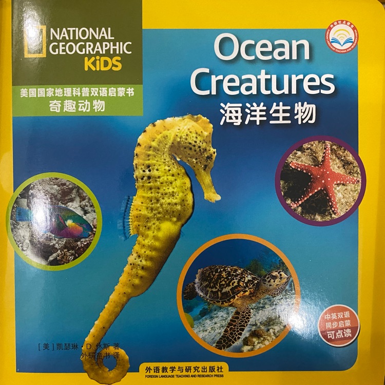 Ocean Creatures(奇趣動(dòng)物)