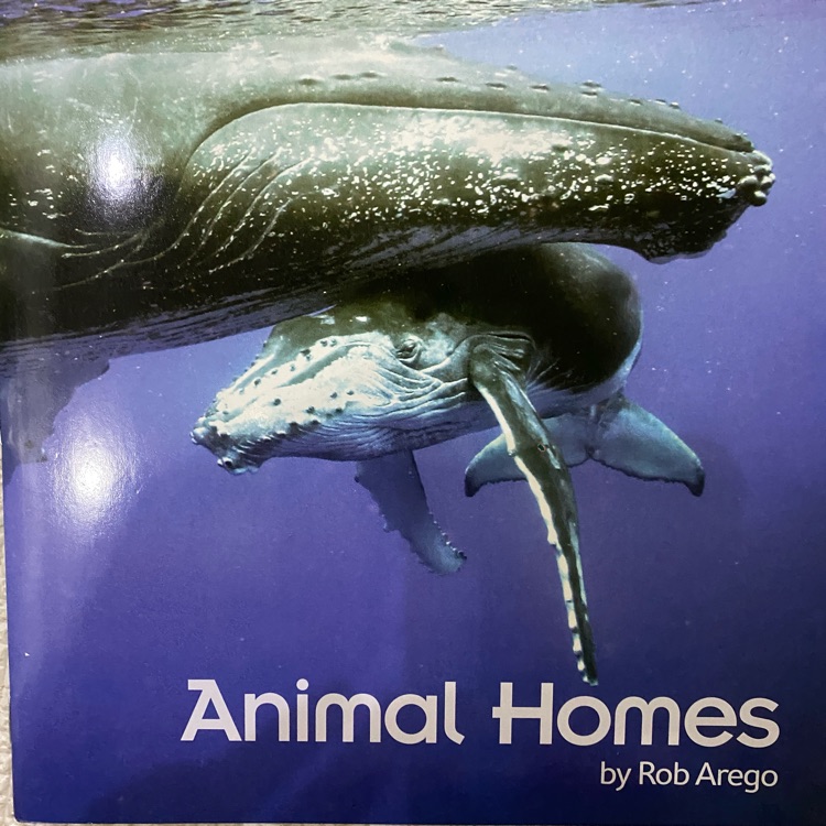 Animal Home