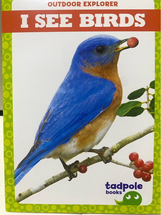 I see birds (Tadpole books: first routines)