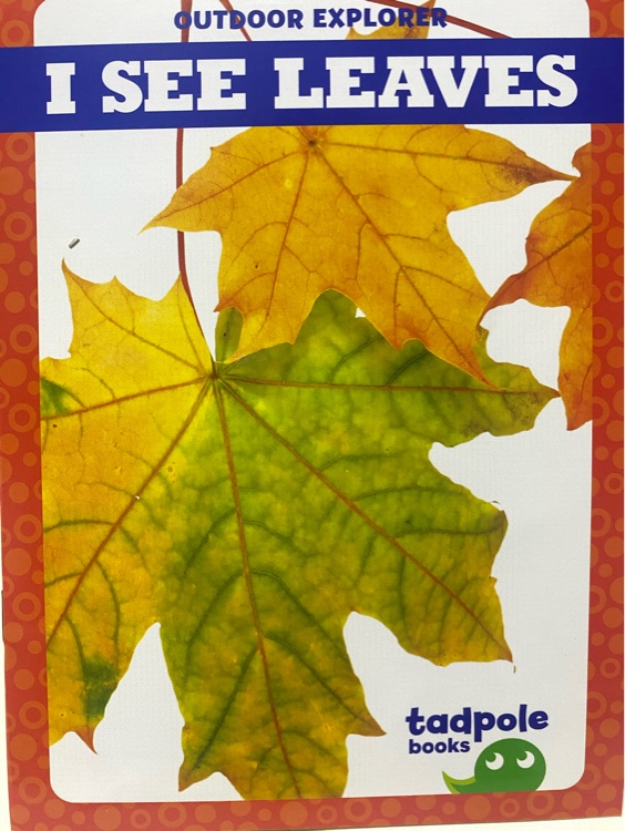 I see leaves (Tadpole books: first routines)