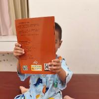 肚肚的肚