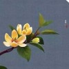 天蓝蓝247