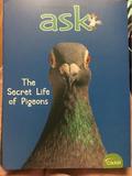 Ask-The secret life of pigeons