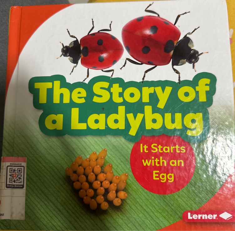 The story of a ladybug