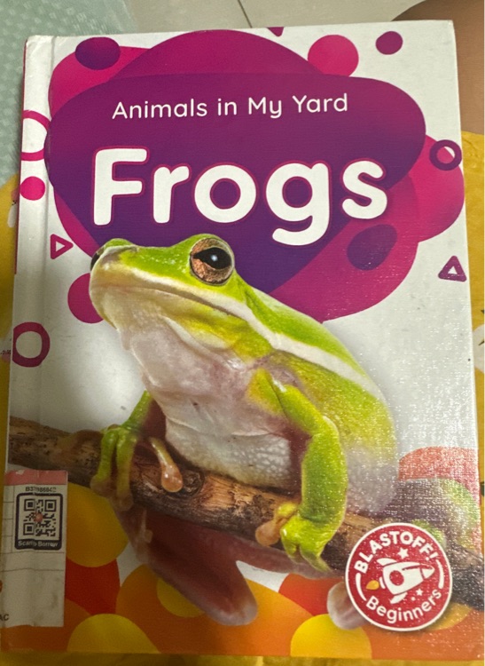 Animals in my yard-Frogs