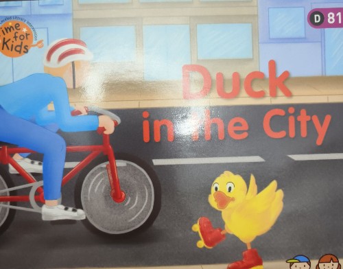 duck in the city