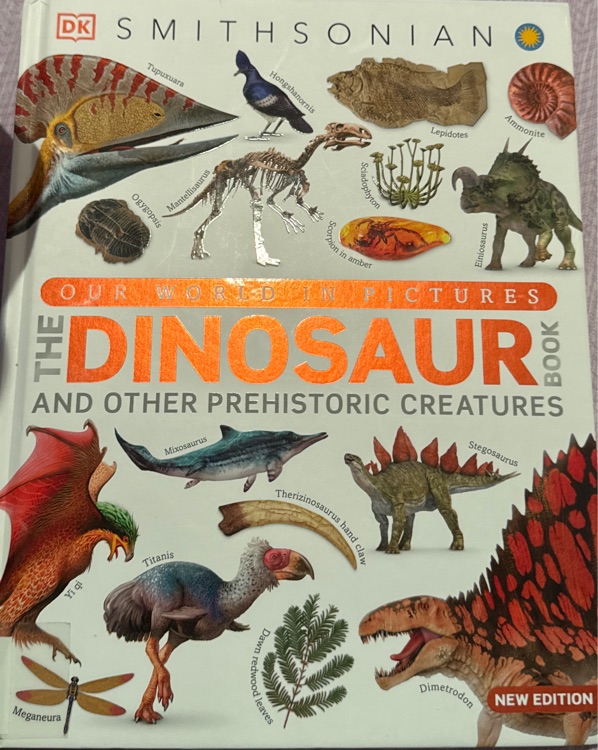 Our World In Pictures The Dinosaur Book