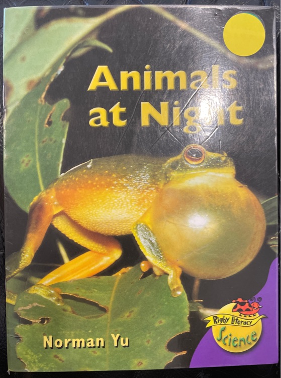 Animals at night