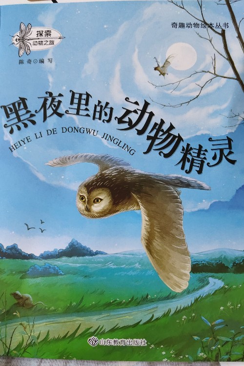 黑夜里的動(dòng)物精靈