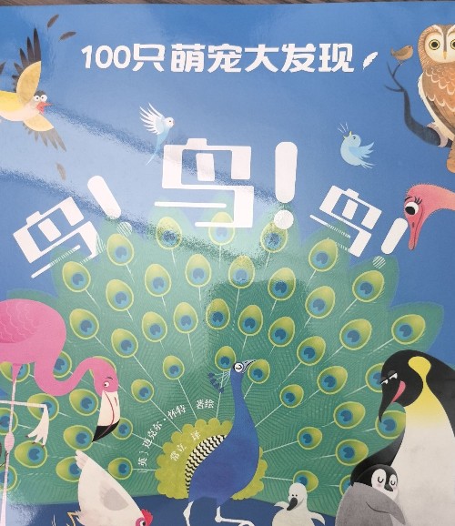 100只萌寵大發(fā)現(xiàn)—鳥鳥鳥