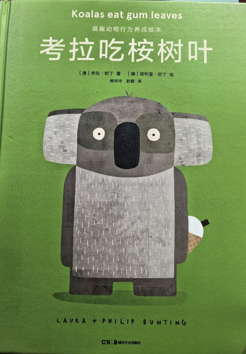 考拉吃桉树叶