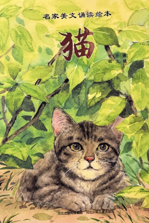 貓