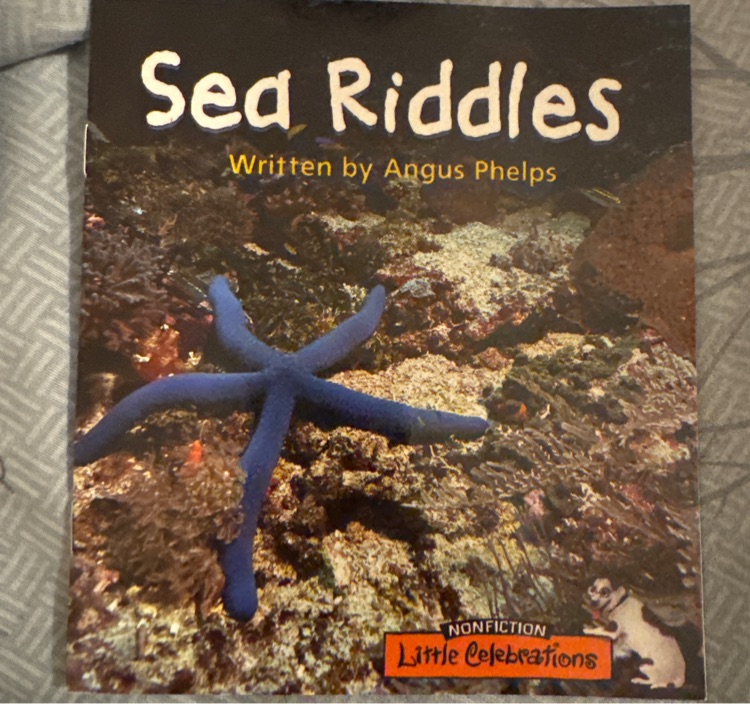 Sea Riddles