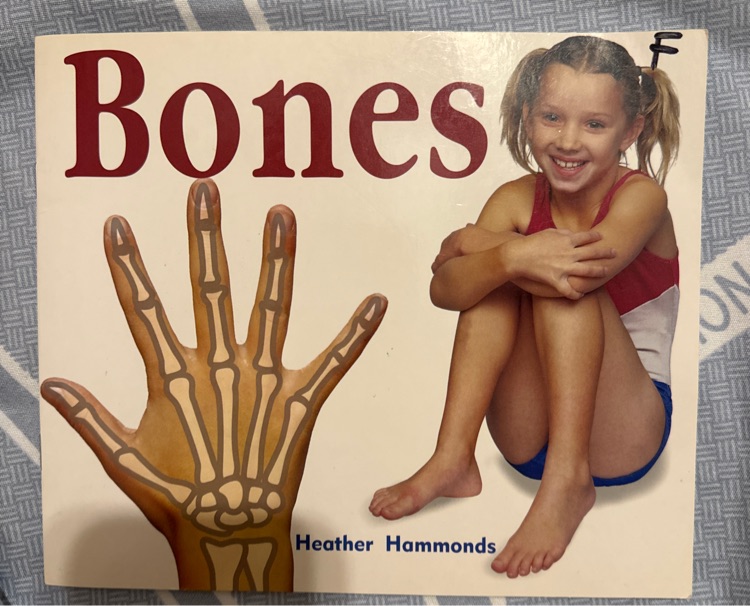 Bones