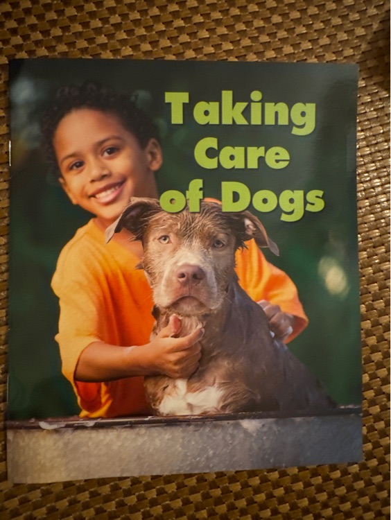 Taking care of Dogs