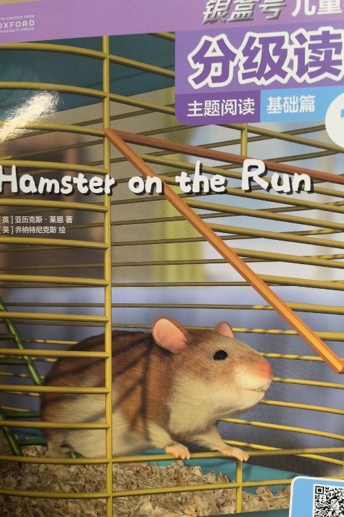 Hamster on the run