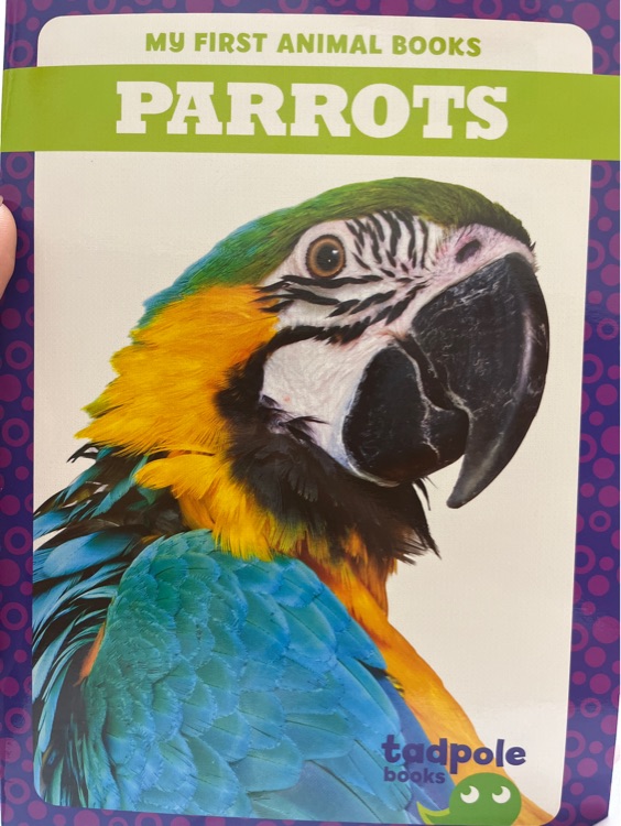 Parrot