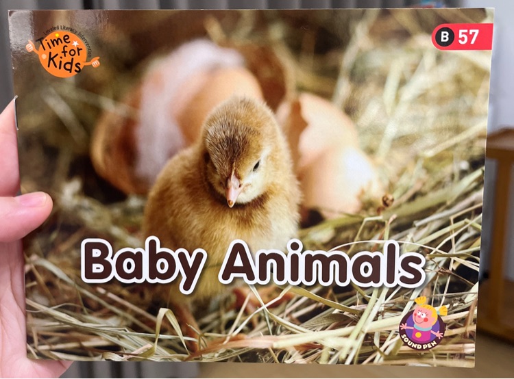 Baby Animals