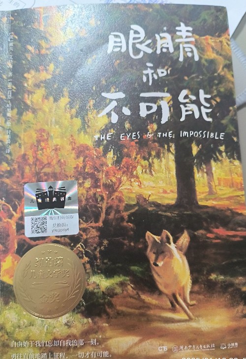 眼睛和不可能