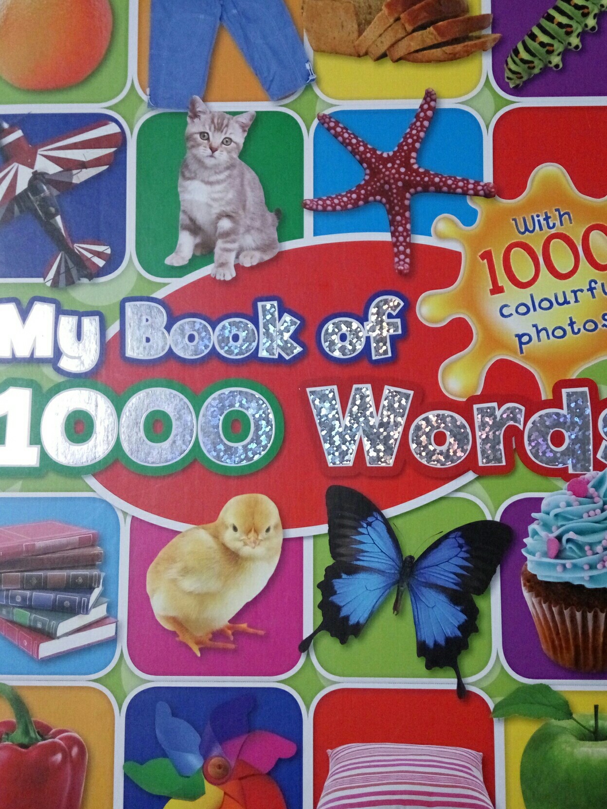 My book of 1000 words