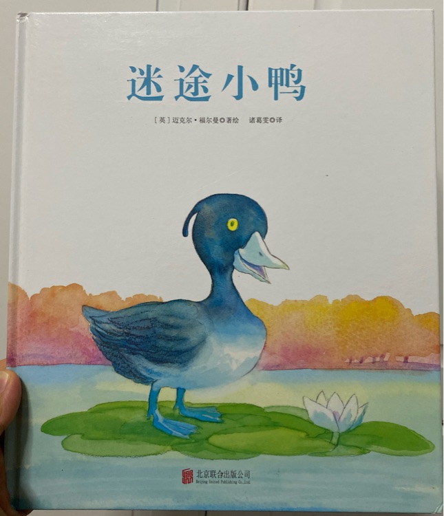 迷途小鴨