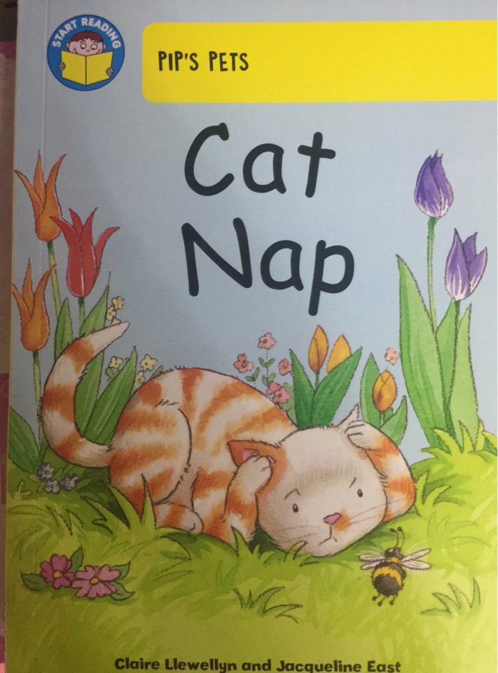 Cat Nap