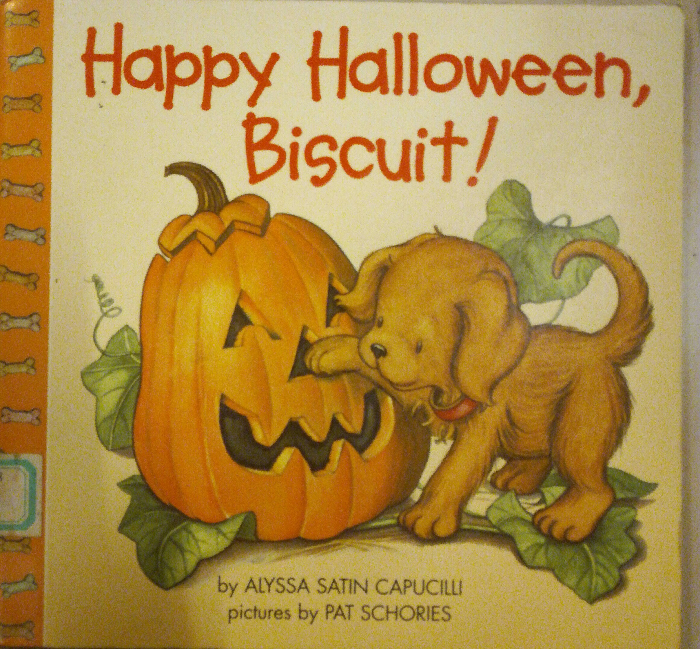 Happy Holloween,Biscuit