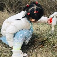 图多开心