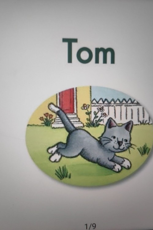 tom story