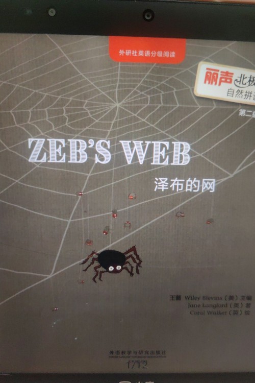 zebs web