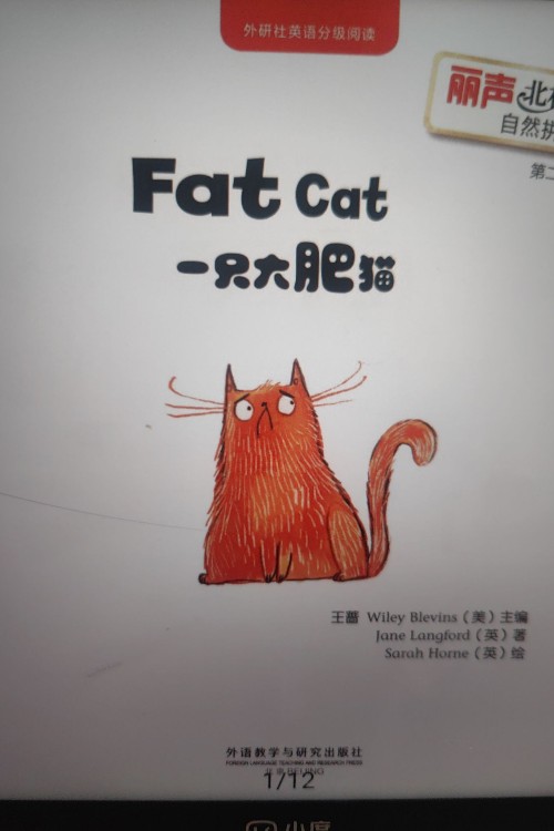 fat cat