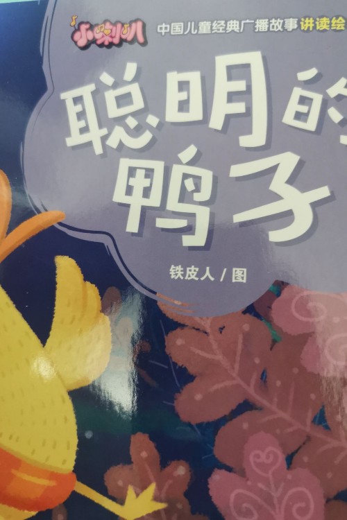 聰明的鴨子