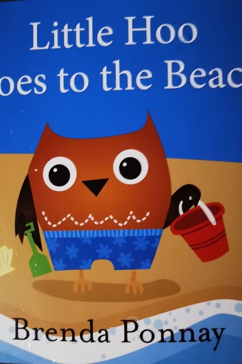 Little Hoo Goes to the Beach